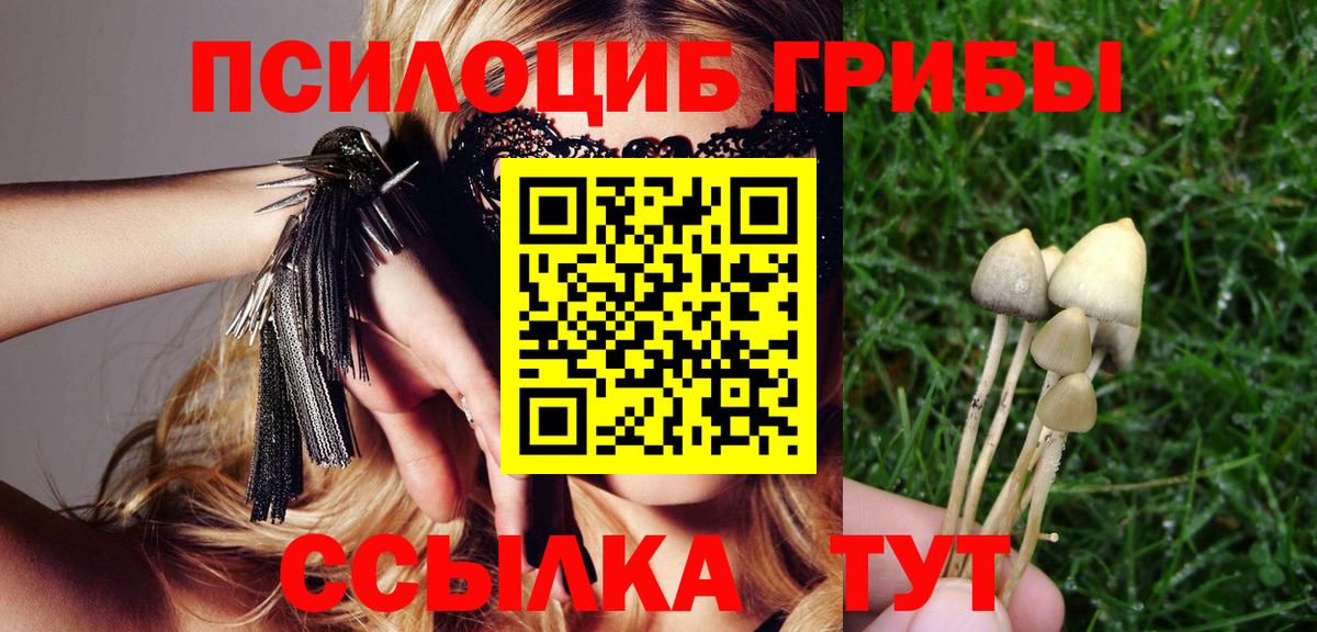 Псилоцибиновые грибы прущие грибы Бутурлиновка